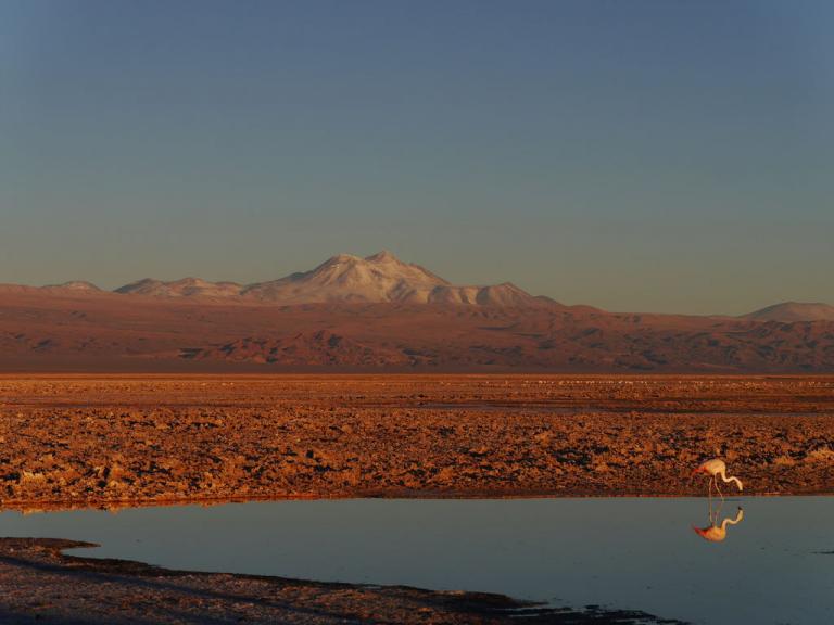 As mil cores do Atacama